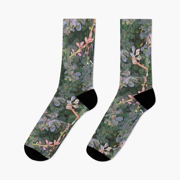Item preview, Barberry Bush designed and sold by Jotipal.