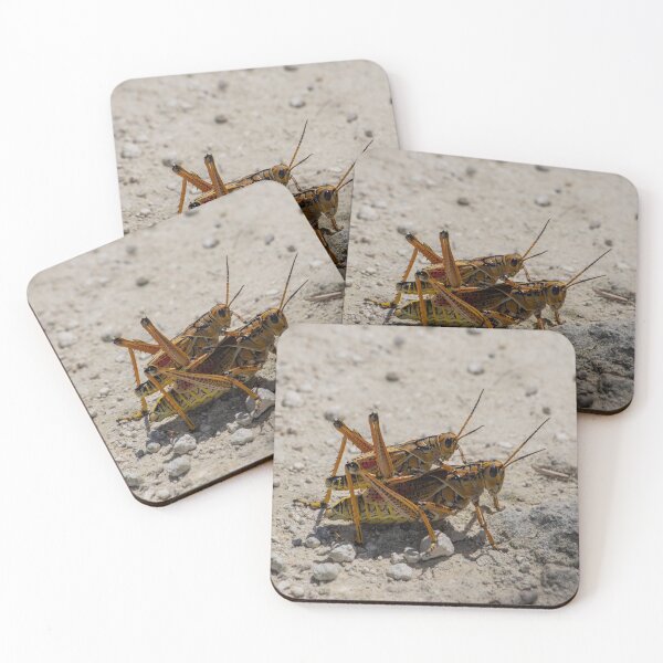 Item preview, Romalea Microptera designed and sold by InhumanImaging.