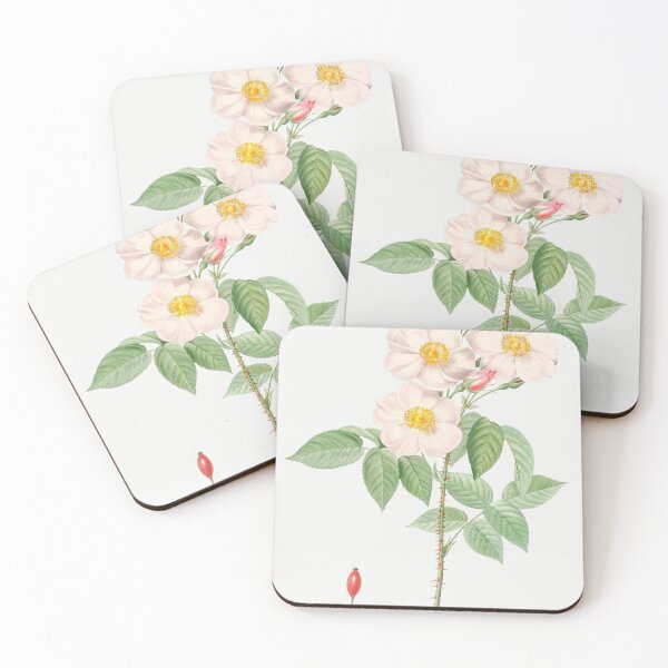Item preview, Les Roses by Pierre-Joseph Redouté designed and sold by EsotericBotanic.