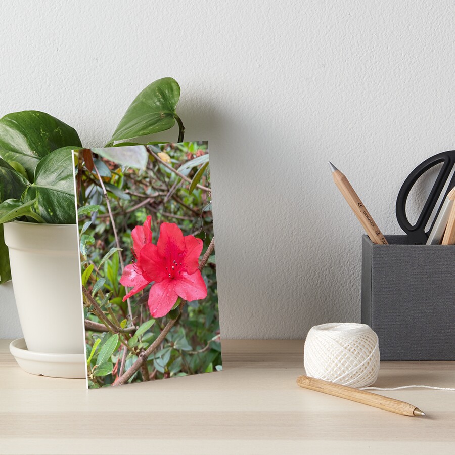 Item preview, Art Board Print designed and sold by JulesCreative.