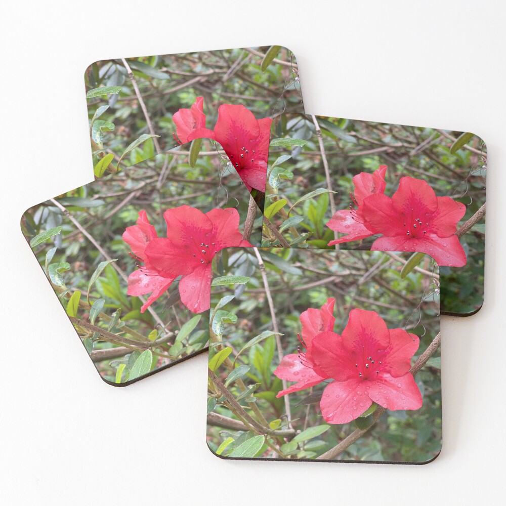 Item preview, Coasters (Set of 4) designed and sold by JulesCreative.