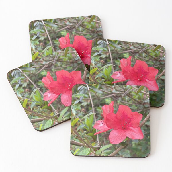 Item preview, Azalea designed and sold by JulesCreative.