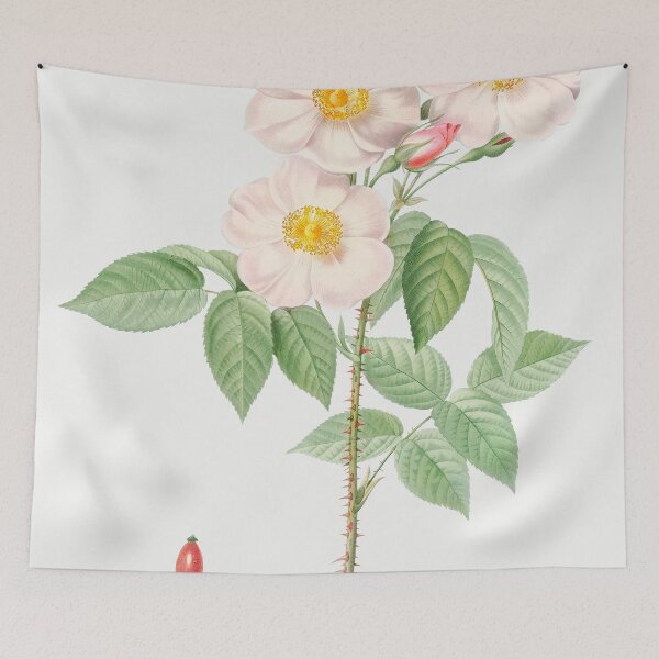 Item preview, Les Roses by Pierre-Joseph Redouté designed and sold by EsotericBotanic.