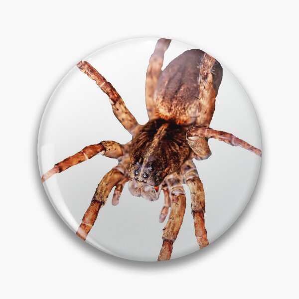 Item preview, Wolf Spider on Blue designed and sold by WanderingMogwai.