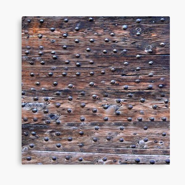 Rusty Metal Rivets Canvas Print