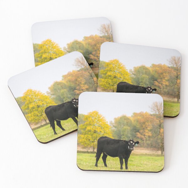 Item preview, Minnesota Angus Black Cow designed and sold by abcpho2grafy.