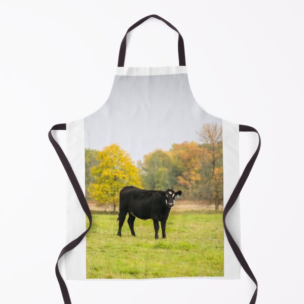Item preview, Minnesota Angus Black Cow designed and sold by abcpho2grafy.