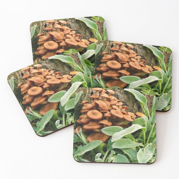 Item preview, #849  Honey Mushrooms designed and sold by MyInnereyeMike.