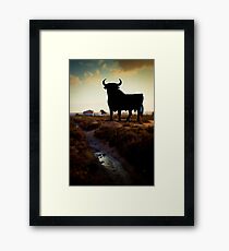 OS BORN Framed Print