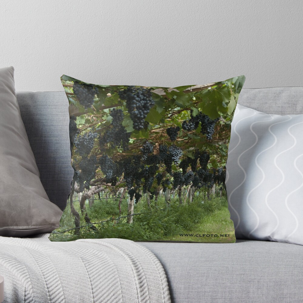 Item preview, Throw Pillow designed and sold by leemcintyre.