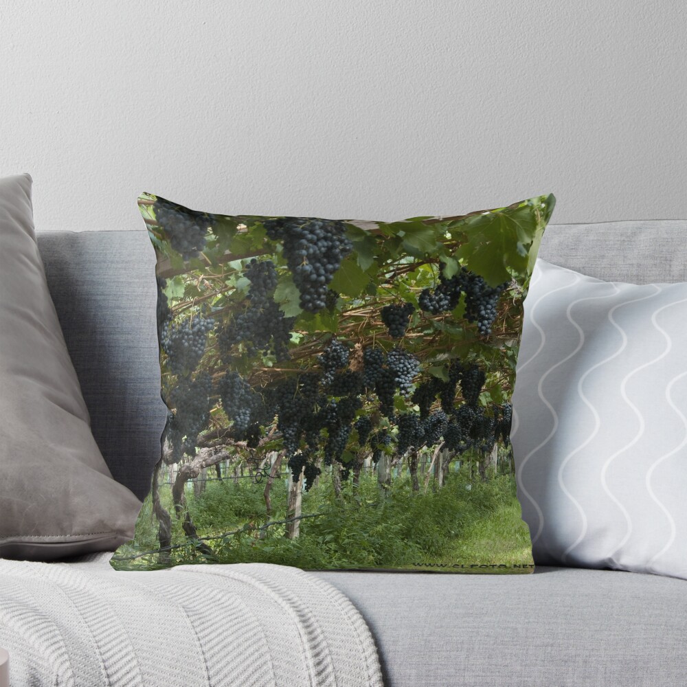 Item preview, Throw Pillow designed and sold by leemcintyre.