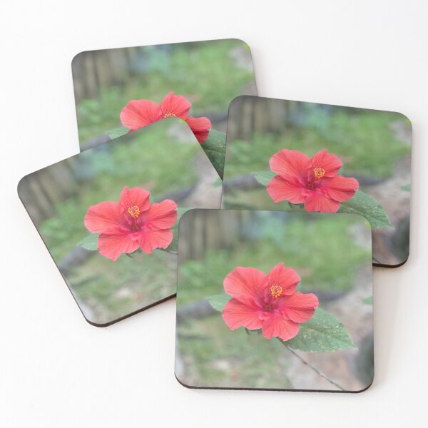 Item preview, Hibiscus  designed and sold by JulesCreative.