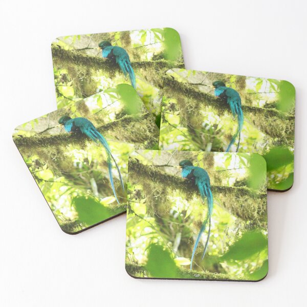 Item preview, Quetzal (the sacred bird) designed and sold by CostaRicaNature.