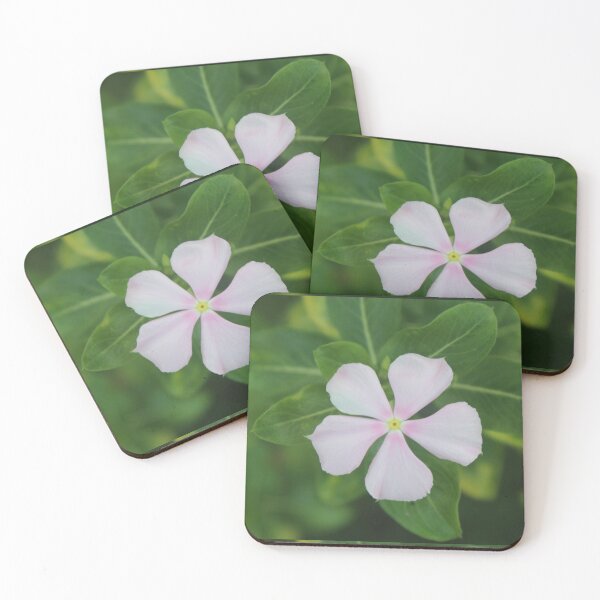 Item preview, Chichirica Flower - Floral Pattern Photograph designed and sold by Tatzki-Design.