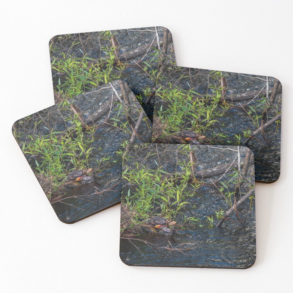 Item preview, Coasters (Set of 4) designed and sold by InhumanImaging.