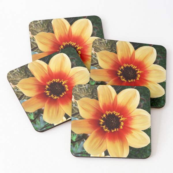 Item preview, #110  Dogwood Flower designed and sold by MyInnereyeMike.