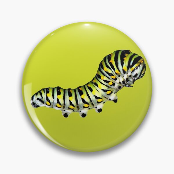 Item preview, Black Swallowtail Butterfly Caterpillar designed and sold by WanderingMogwai.