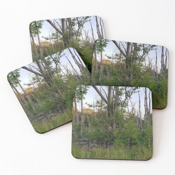 Item preview, Afternoon swam0 designed and sold by Tea-Tarot.