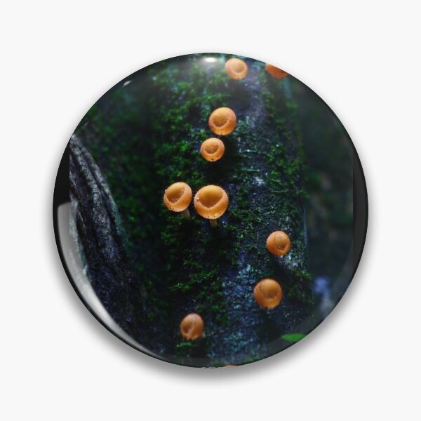 Item preview, Magic mushrooms  designed and sold by CostaRicaNature.