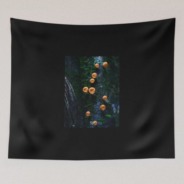 Item preview, Magic mushrooms  designed and sold by CostaRicaNature.