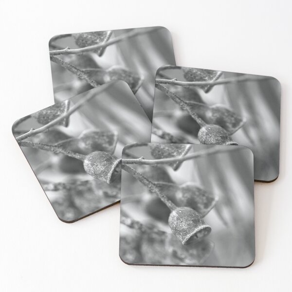 Item preview, Mature Gumnuts Mono  designed and sold by Joy Watson - Natural Light Photography .