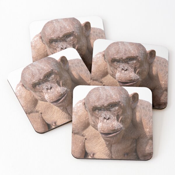 Item preview, Jambo The Hairless Male Chimp (Transparent Background) designed and sold by rawshutterbug.