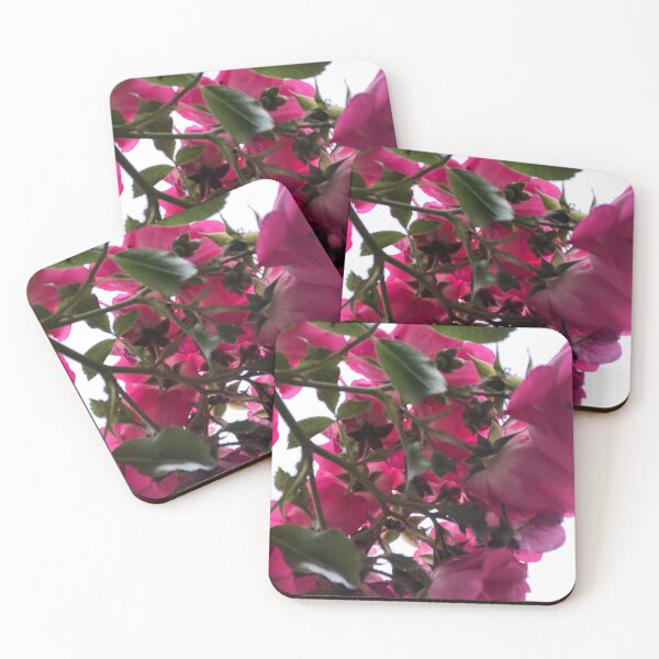 Item preview, Behind roses designed and sold by elaine-gregers.