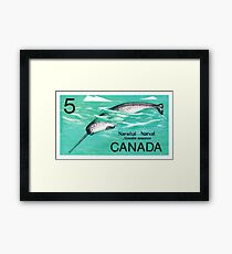1968 Kanada Narwhal Briefmarke Gerahmtes Wandbild