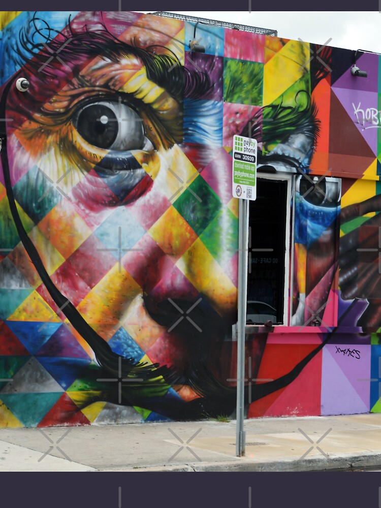 Wynwood Walls  Brooklyn Street Art