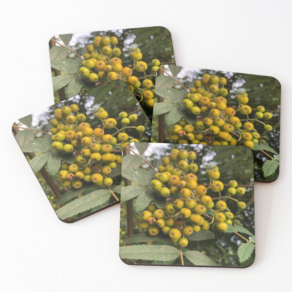 Item preview, Berry tree designed and sold by elaine-gregers.