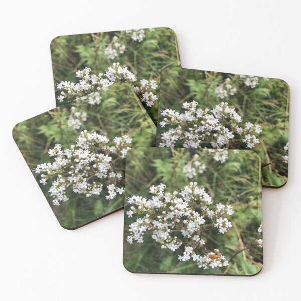Item preview, White flowers designed and sold by elaine-gregers.