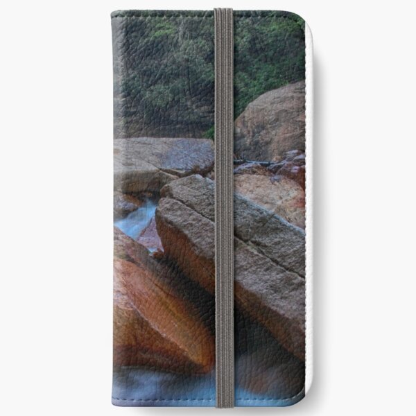 Douglas falls, Thomas, West Virginia iPhone Wallet