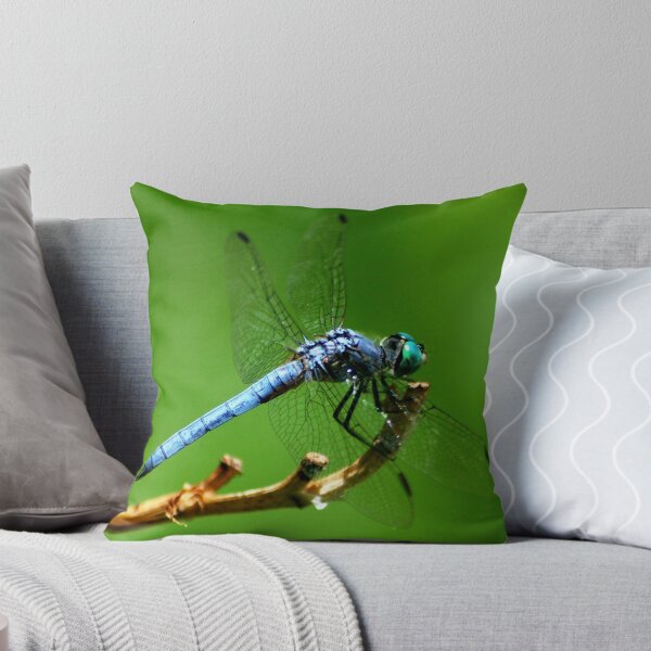 Item preview, Blue dragon designed and sold by loiteke.