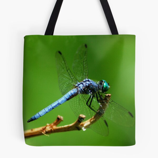 Item preview, Blue dragon designed and sold by loiteke.