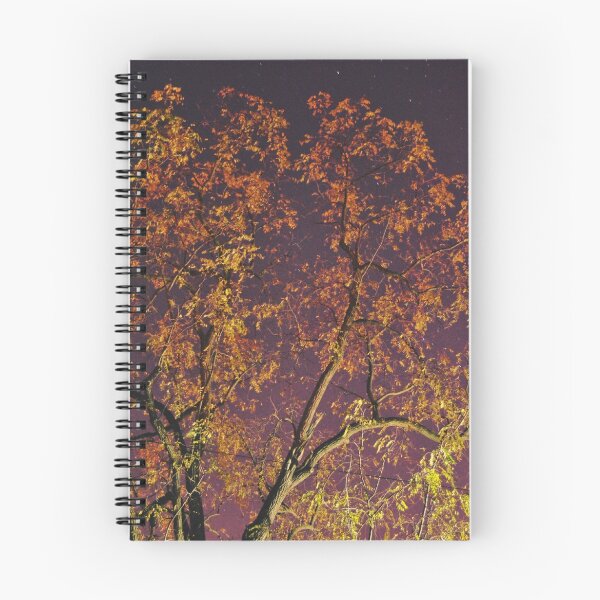 Item preview, Chilly Autumn Nights designed and sold by Katie Sharp.
