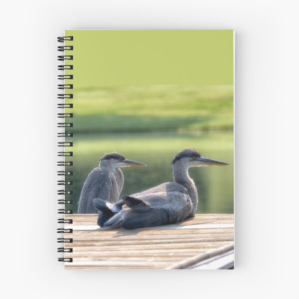 Item preview, Herons Keeping Watch designed and sold by Kathy Weaver.