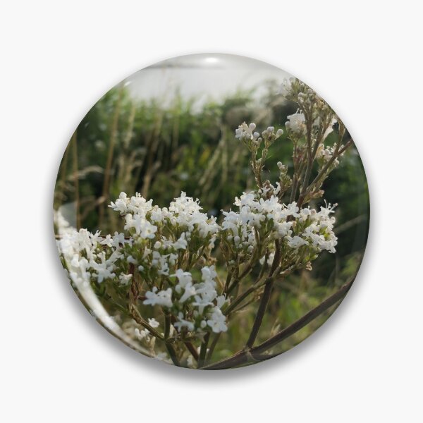 Artikelvorschau, Ocean White flower entworfen und verkauft von elaine-gregers.
