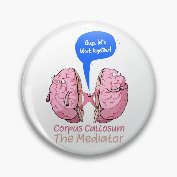 Item preview, Corpus Callosum The Mediator of the two lobes of the brain designed and sold by labstud.
