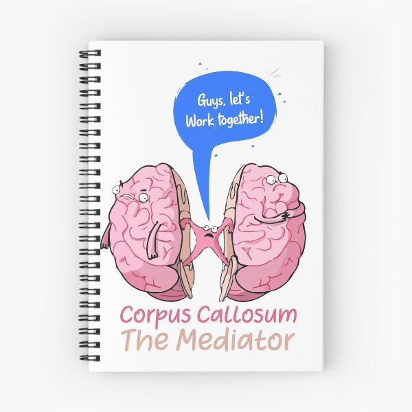 Item preview, Corpus Callosum The Mediator of the two lobes of the brain designed and sold by labstud.