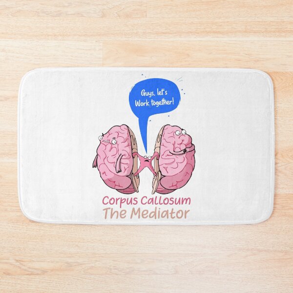 Item preview, Corpus Callosum The Mediator of the two lobes of the brain designed and sold by labstud.