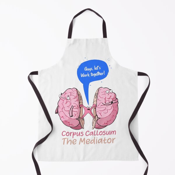 Item preview, Corpus Callosum The Mediator of the two lobes of the brain designed and sold by labstud.