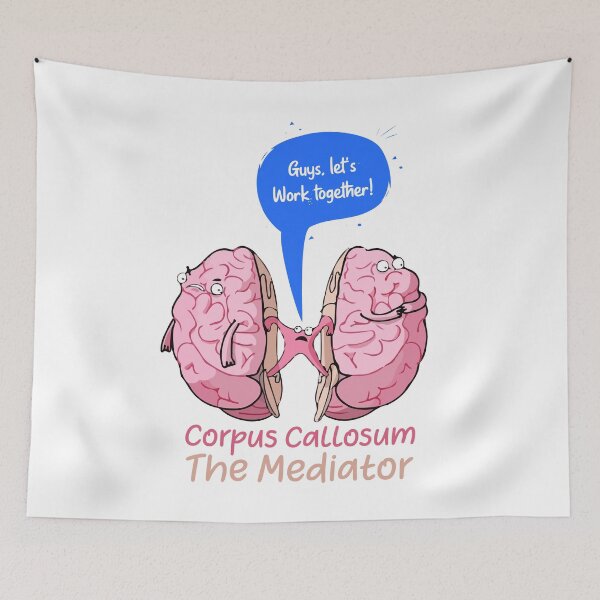 Item preview, Corpus Callosum The Mediator of the two lobes of the brain designed and sold by labstud.