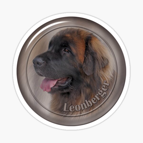 LEONBERGERS Car Sticker V02 Leonberger Dog Window Decal Bumper Sign Pet Gift 