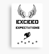 Exceed Expectations Canvas Print