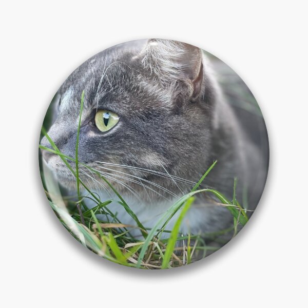 Item preview, Cat on look out duty designed and sold by MittensandMouse.