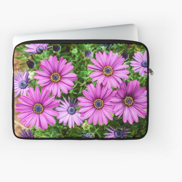 AFRICAN DAISY - Pink Aesthetic High Definition African DAISY Best HD Art Print Photo Laptop Sleeve