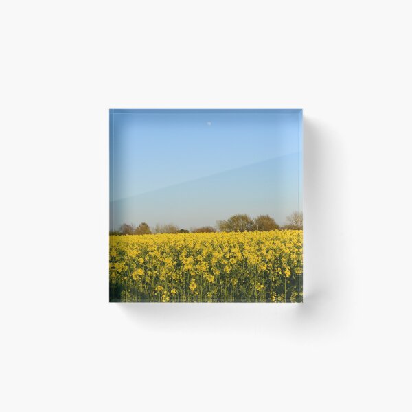 Item preview, Field of Oilseed Rape designed and sold by SassyStudios.