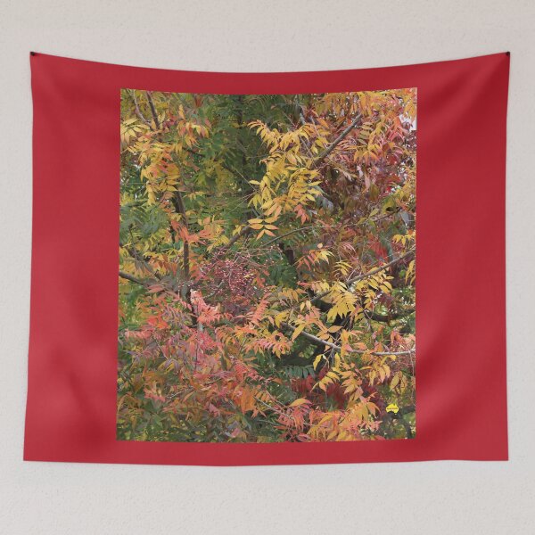 Item preview, Autumn colours designed and sold by Andykinoz.