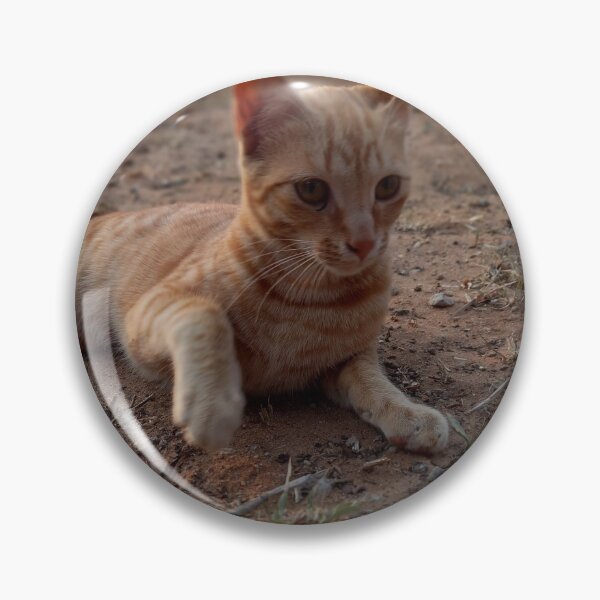 Item preview, Ginger cat designed and sold by EEBreet.