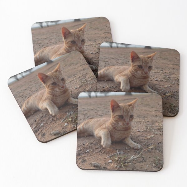 Item preview, Ginger cat designed and sold by EEBreet.